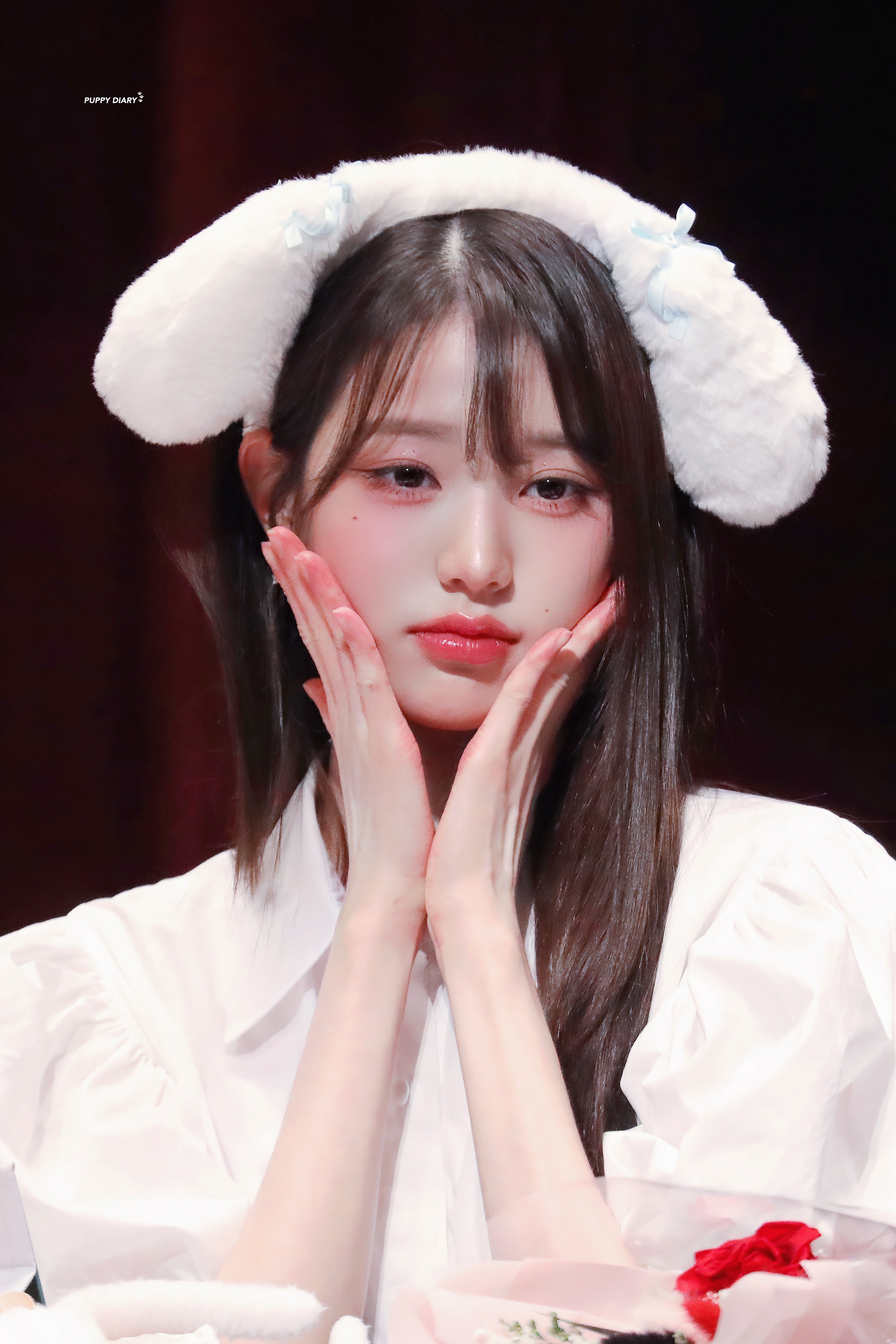 兔子无法飞翔或许是因为耳朵太重 