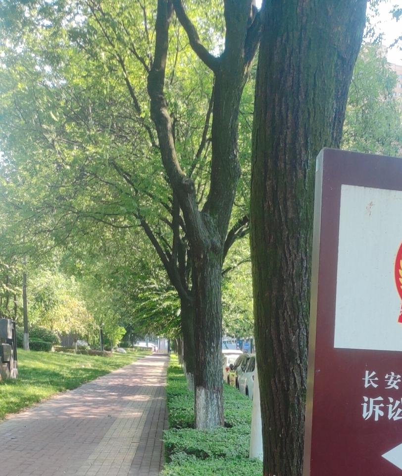 昨天陪朋友去长安区诉讼服务中心办事，
发现那边停车特不方便。
因为对那边特不熟，