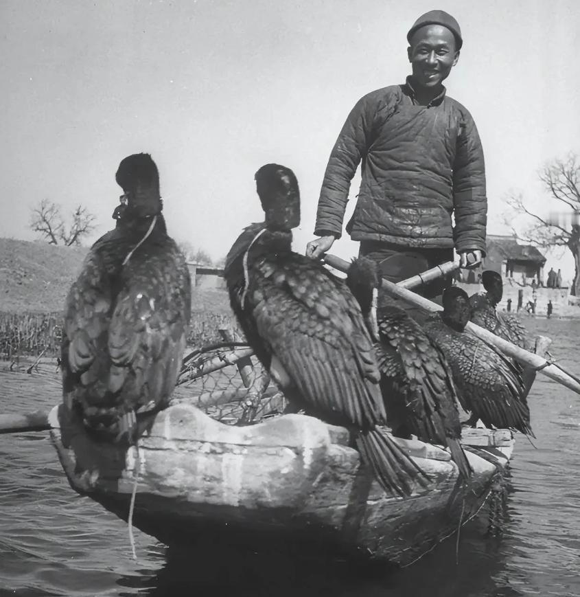 1942年6月，浙江衢江流域连续下了三天雨，江水暴涨，水流湍急，连经验丰富的老渔