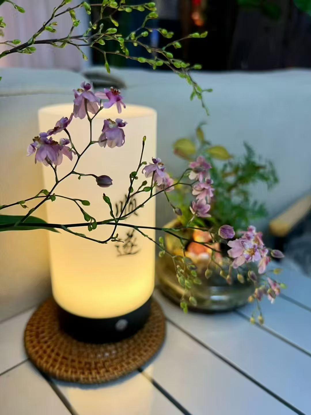 2026年，愿日子温软，岁岁安然。三餐烟火暖，家人常伴身旁；所求皆如愿，所行皆坦