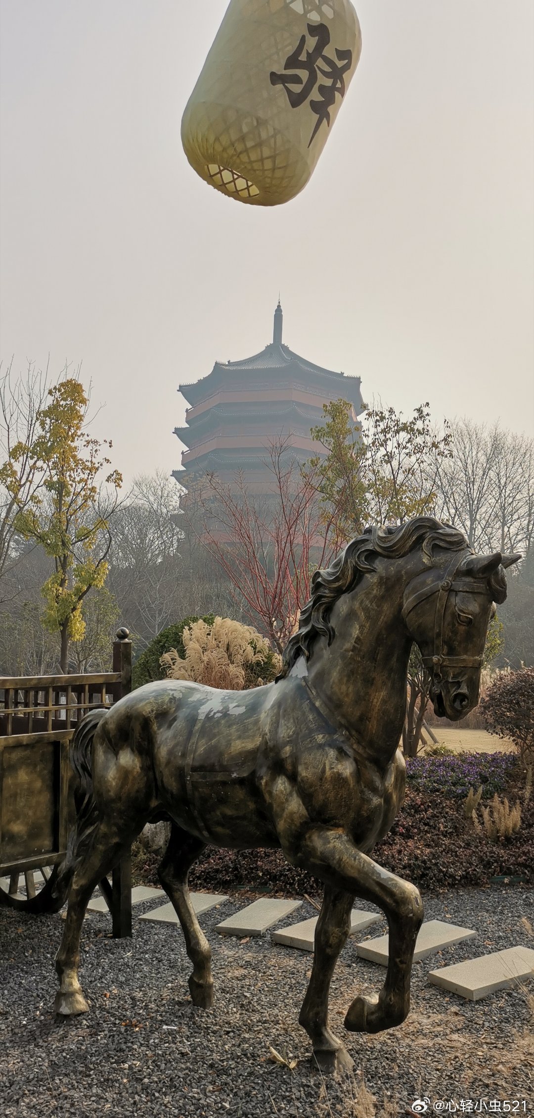 河南信阳  茗阳阁 