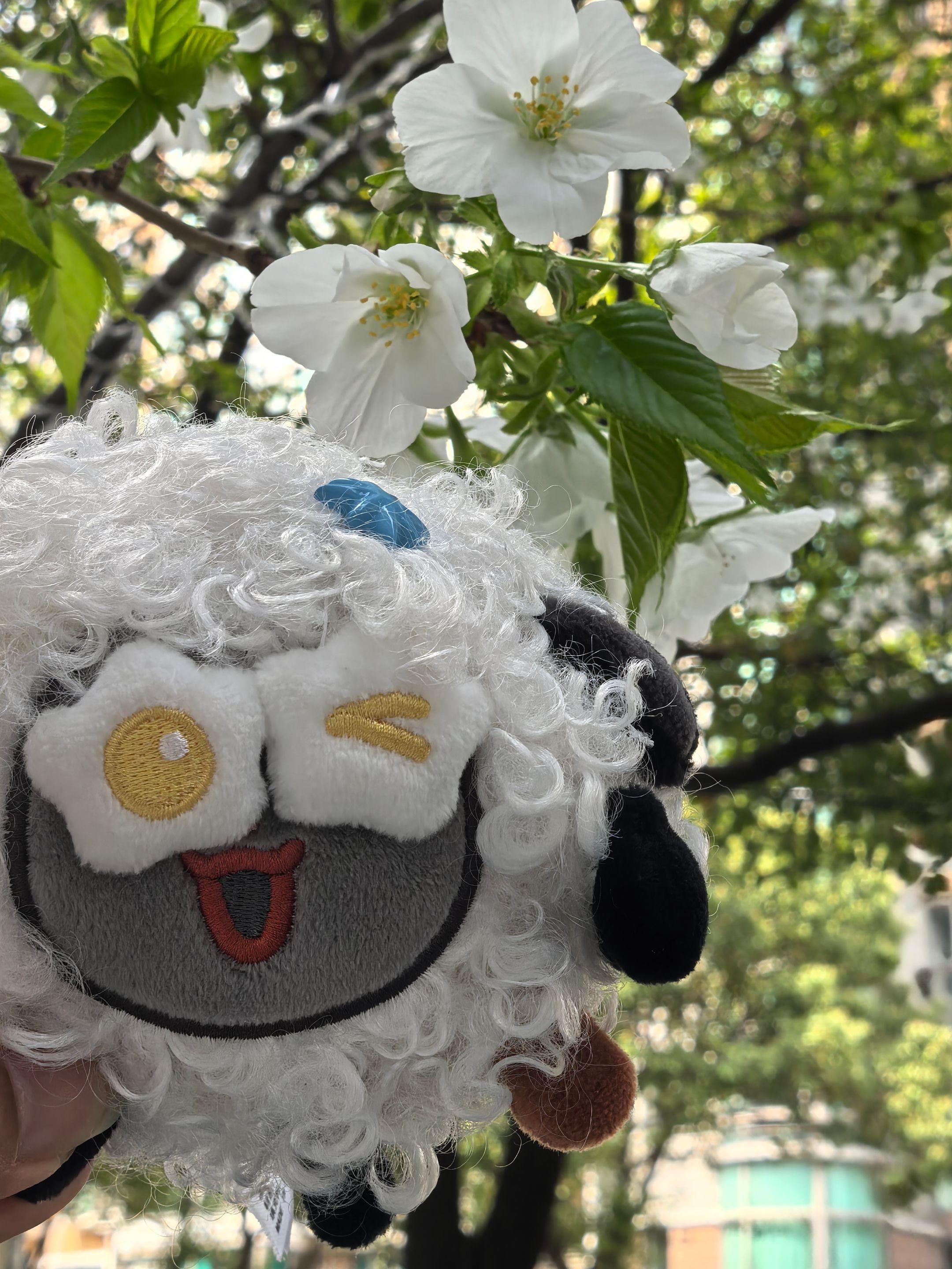《挽救计划》看完了。《挽救计划》看完了很温馨的一部影片结尾与开头相呼应...