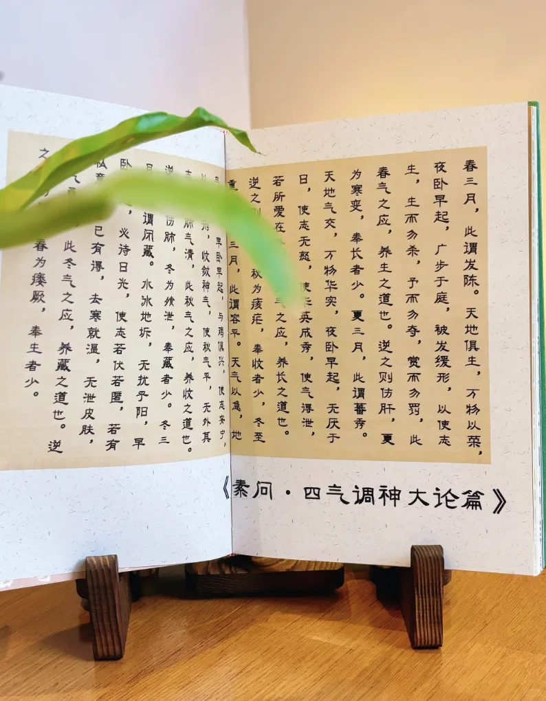 升级款厚日历支架，放什么书都好看！