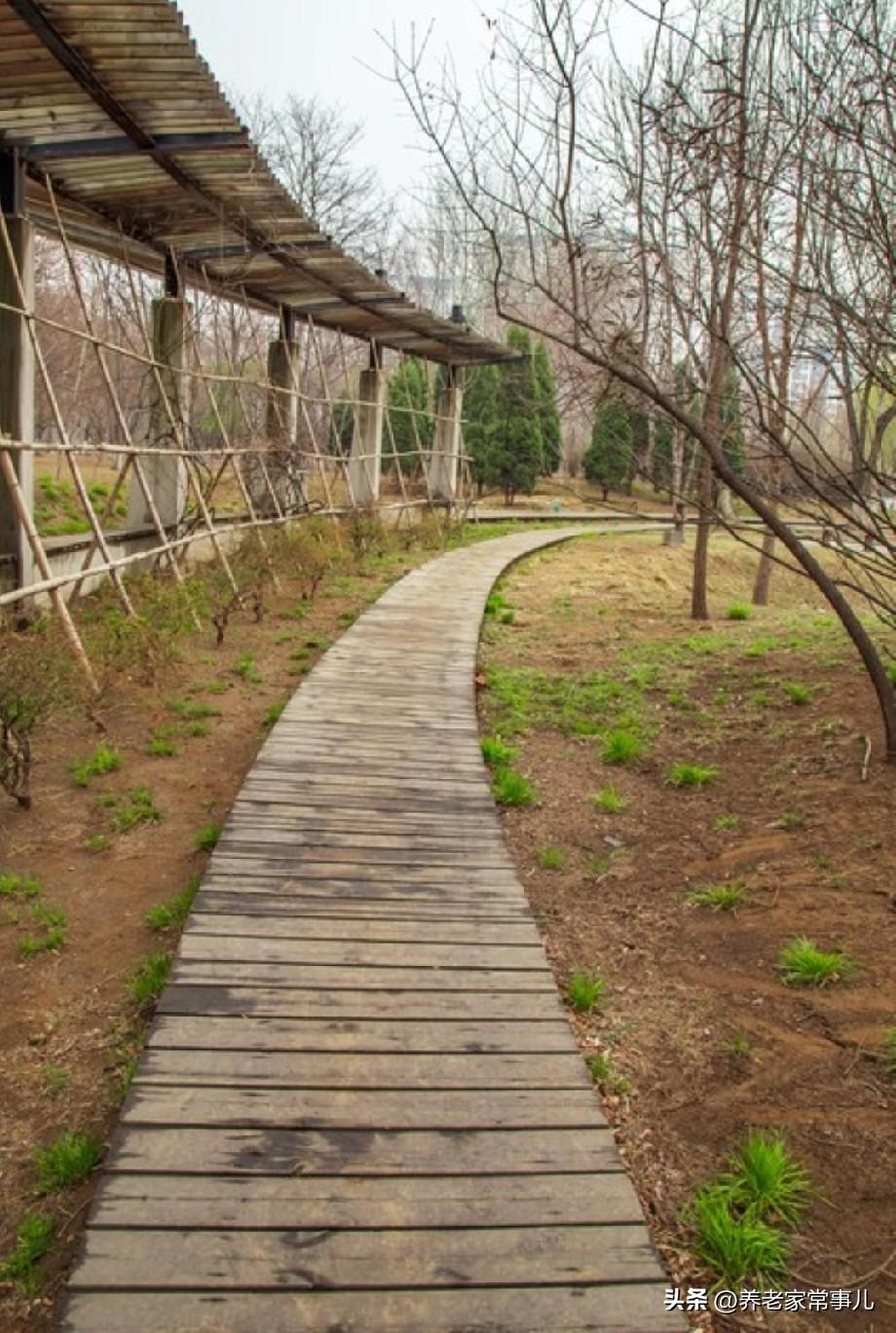 人生有没有白走的路，哪一段路经历了什么，却又重新塑造了你。