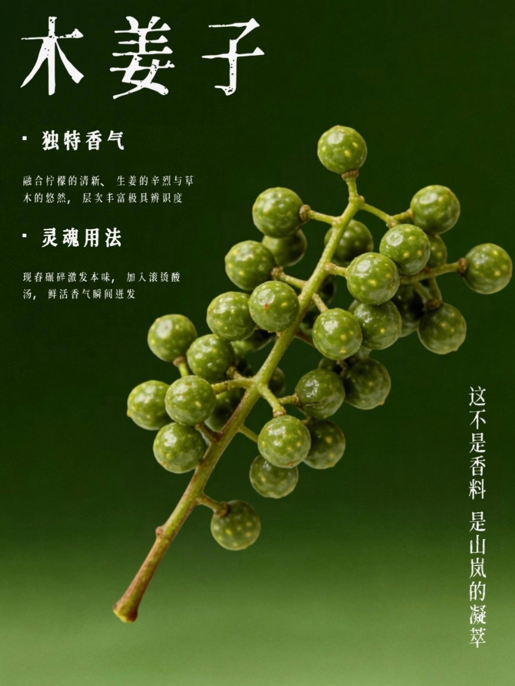 樊振东终于知道木姜子是什么味道了一饭封神 原来世界冠军追综艺和我们一样抓心挠肝！