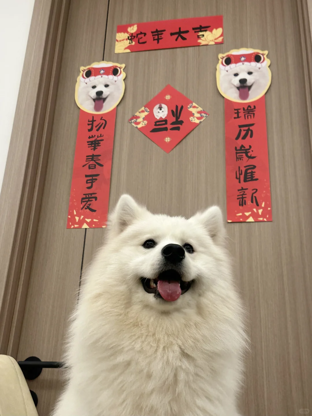 挑战全网最可爱的蛇年对联