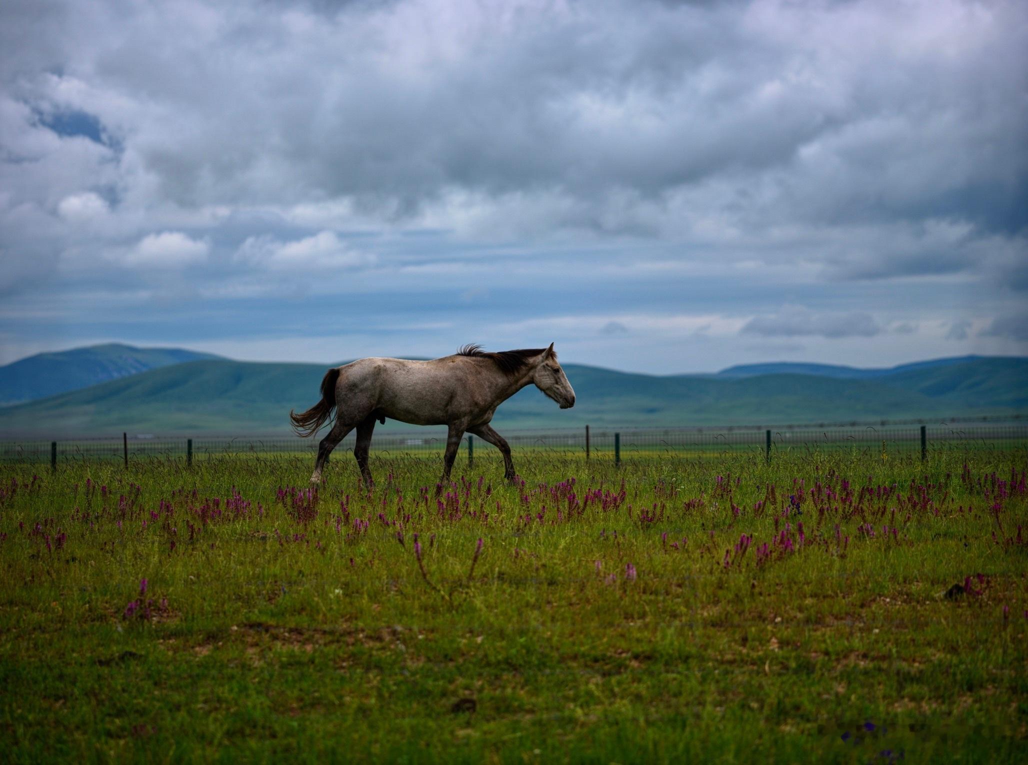 过年是去云南还是两广呢？是个难题 