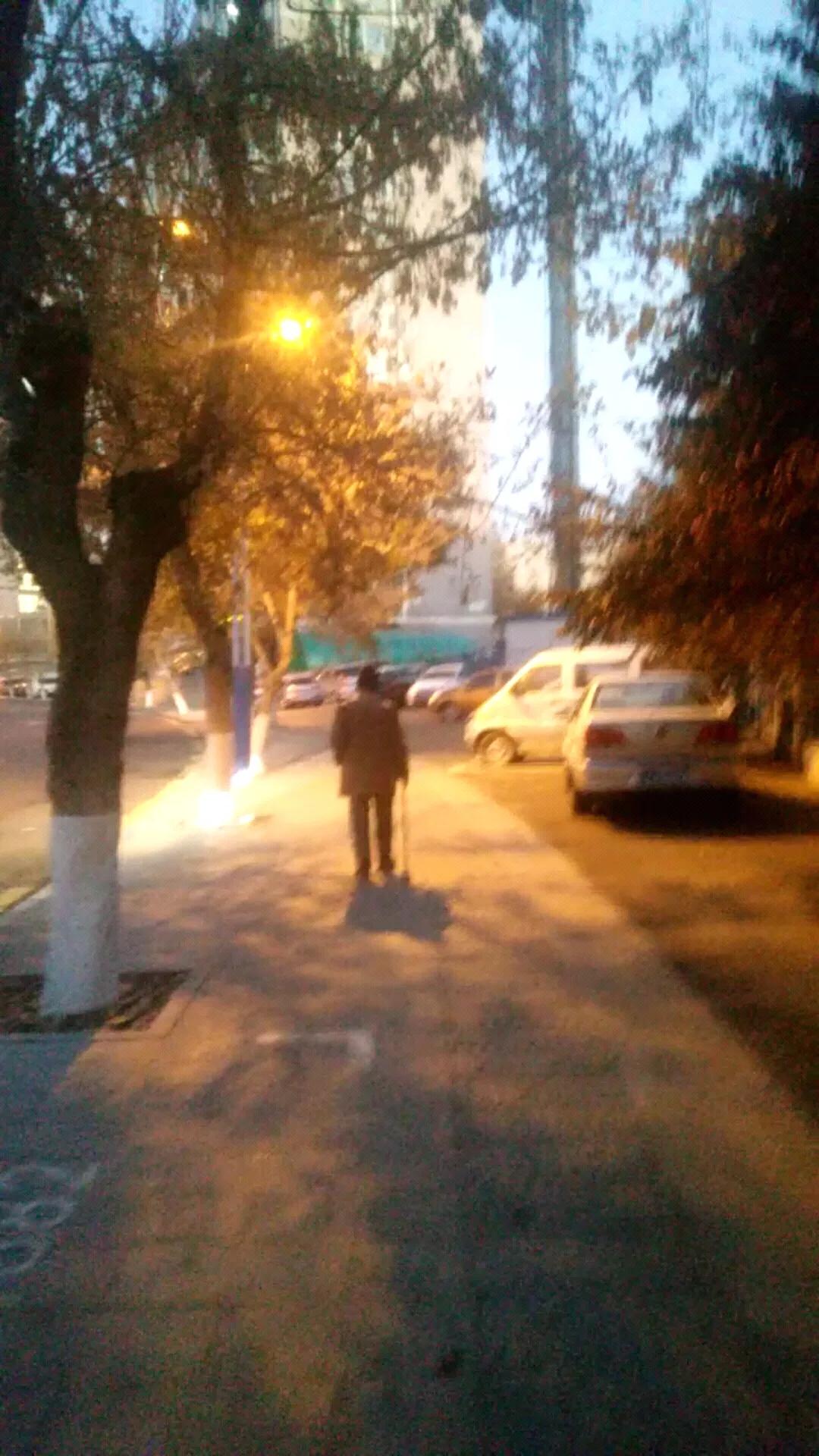 《路灯》

寒夜街边立影长， 
昏黄默默照归郎。 
风摇不灭光明意， 
指引前途