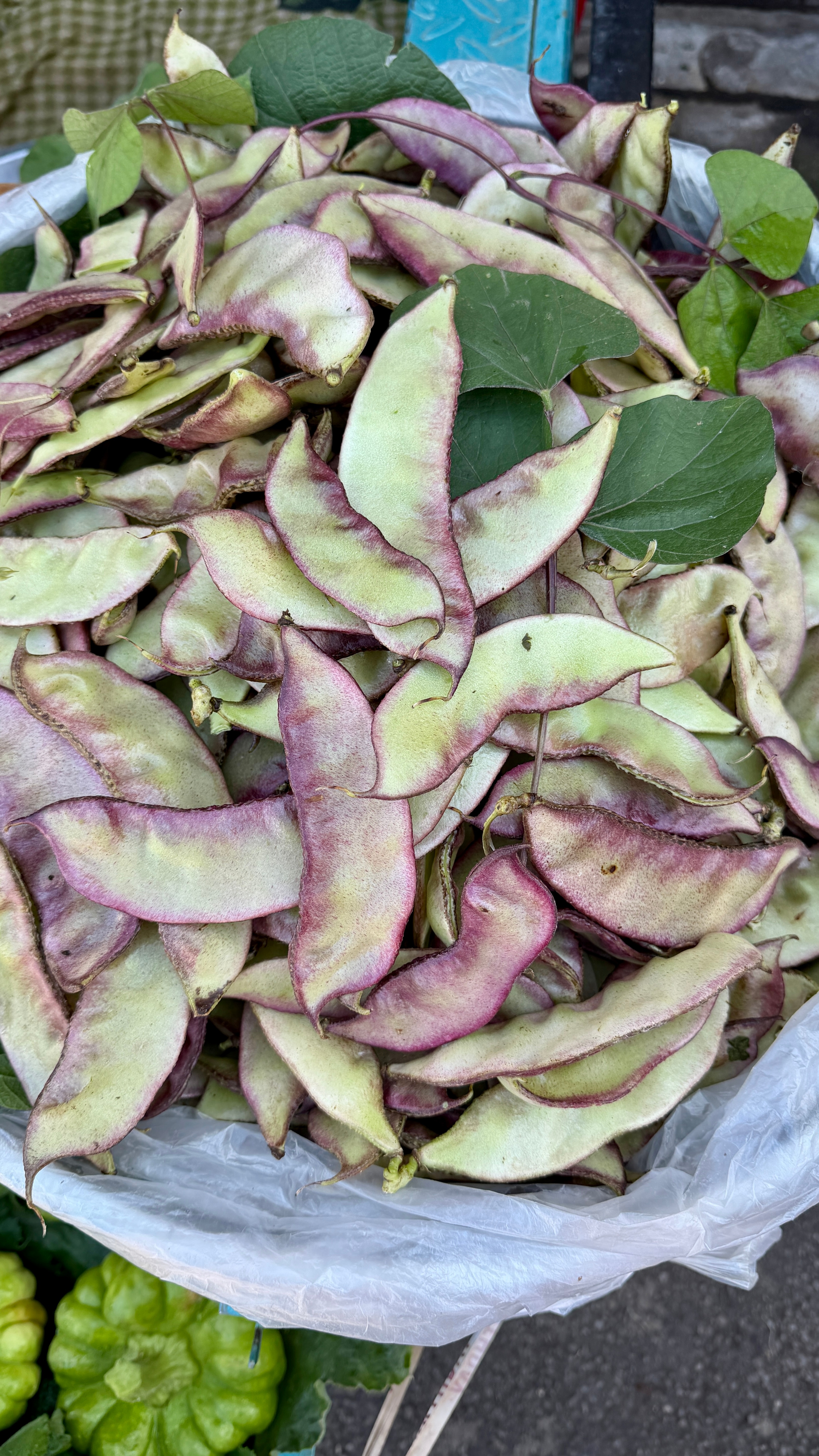 云南丽江市场里的奇珍异菜，你吃过几样❓云南美食豆花名宿吃货团丽江美食 丽江