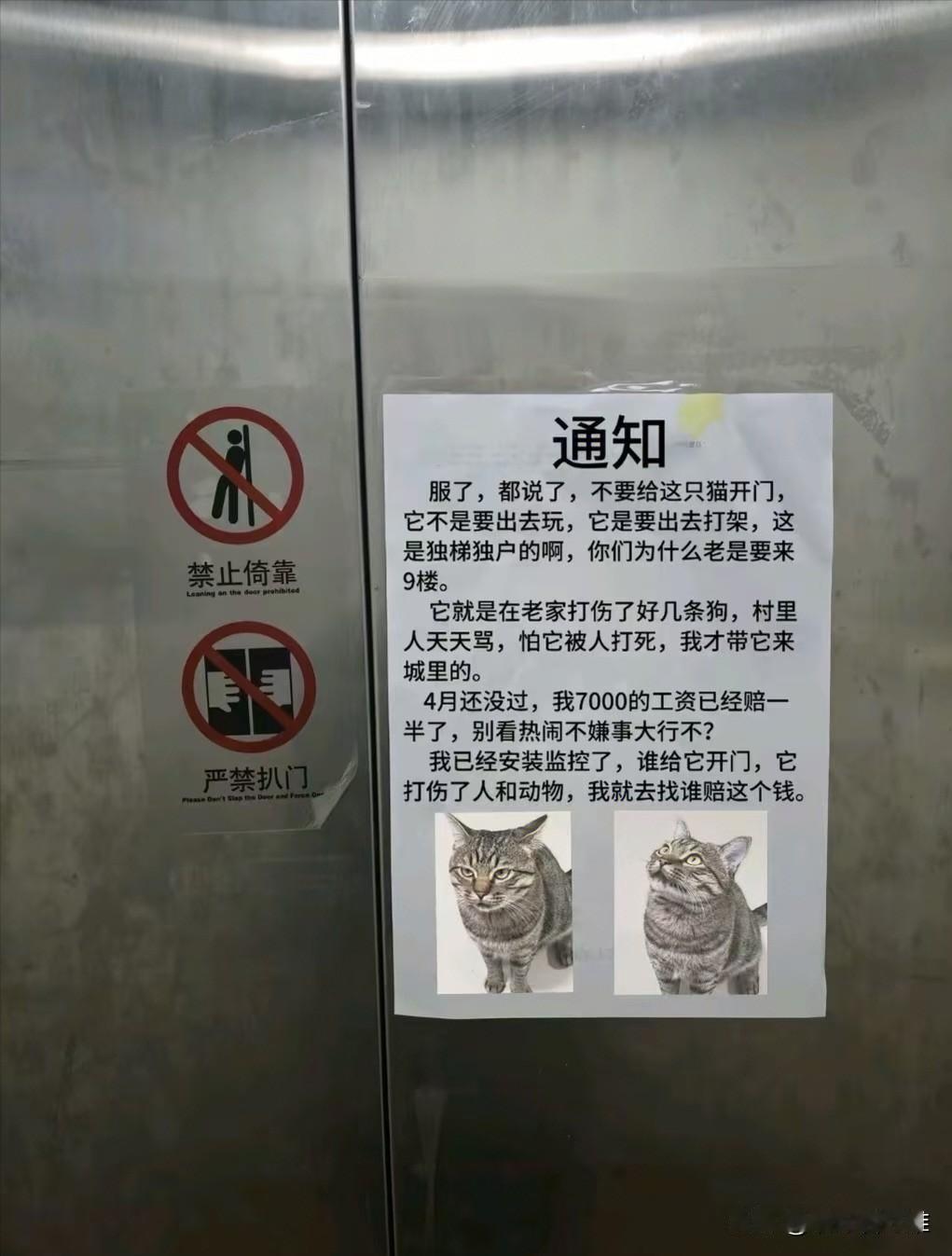 电梯贴告示！我家猫是黑帮大佬，求邻居别给它开门
 
去朋友小区串门，电梯里看到一