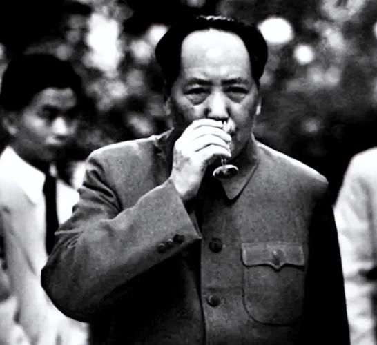 1966年，美国派美女刺杀毛主席，结果还没动手，先被中国帅哥"拿下"了。

19