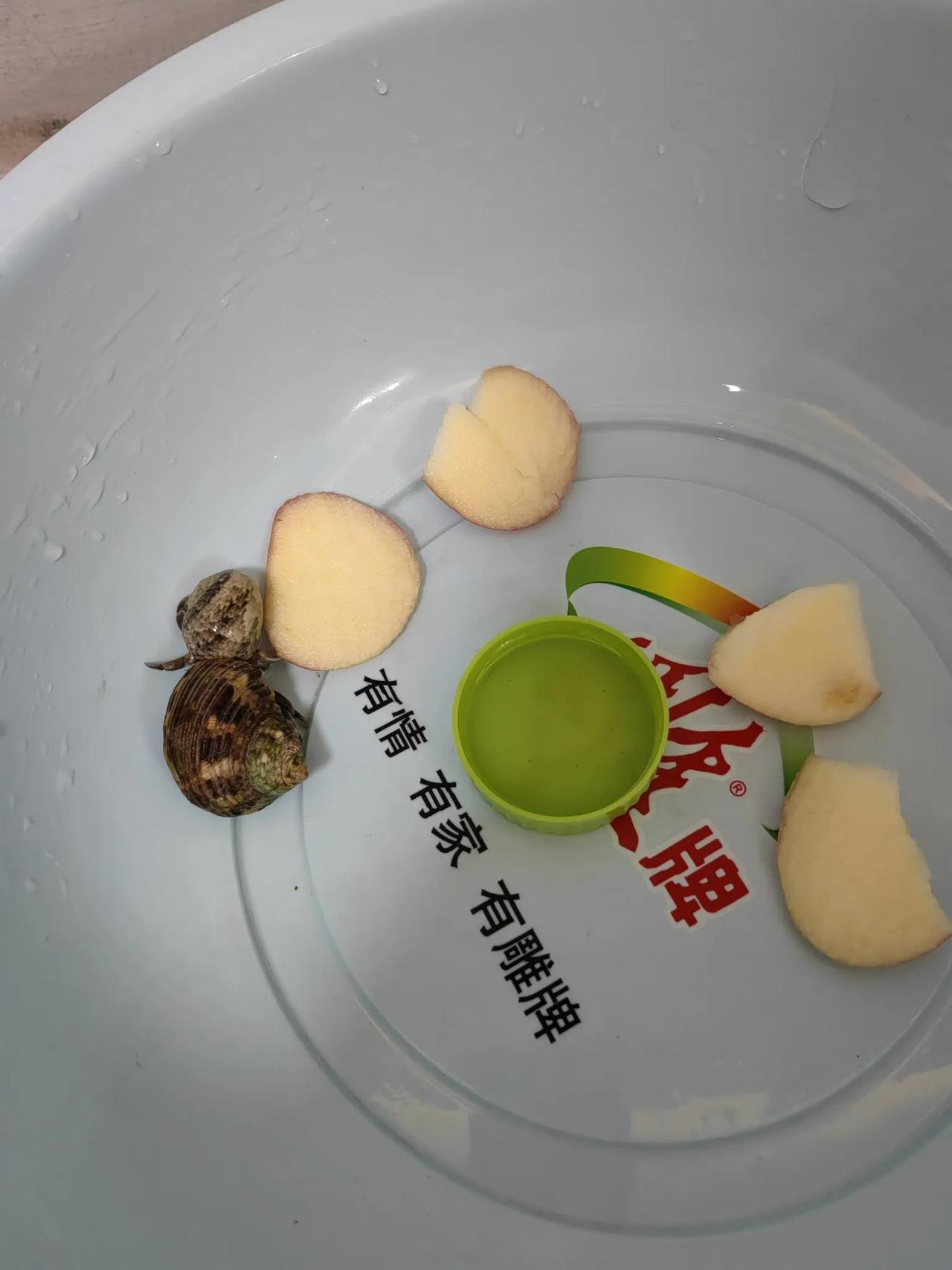 人在广州，这个五一突然哪里都不想去了。
你先加个班吧，客户全部放假。广州玩遍了，