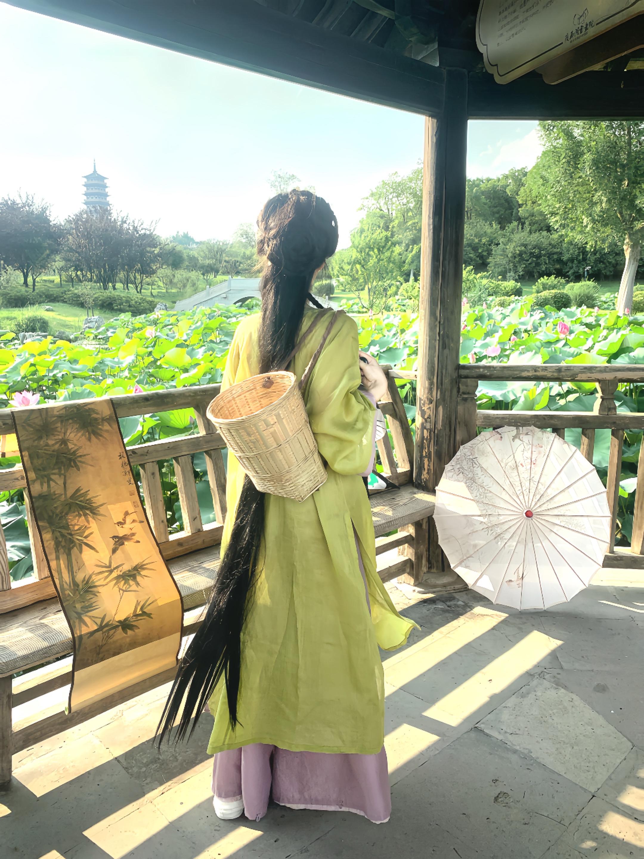 误入藕花深处 古风