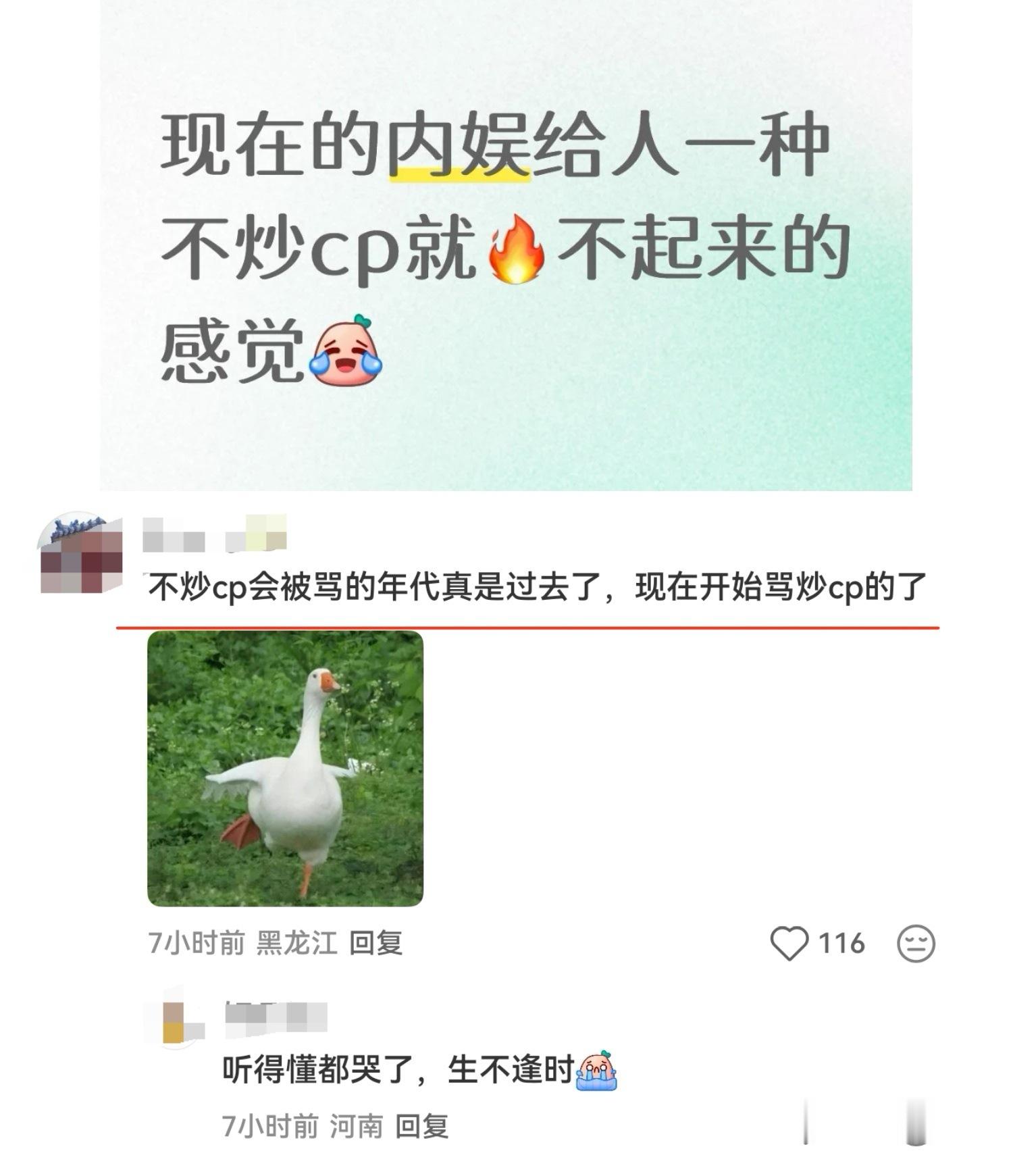 看懂这条评论的都哭了 成毅是第一个不炒cp被网暴几年的人，这个内娱只会欺负老实人