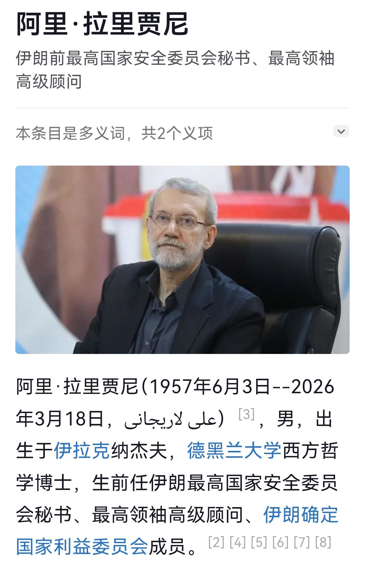 伊朗最高国家安全委员会秘书、最高领袖高级顾问和伊朗确定国家利益委员会委员阿里.拉
