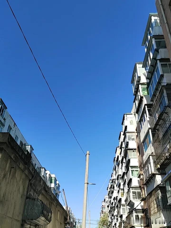 我认为人品很重要，
在人品面前才华和颜值什么都不是。
无论是国家和企业人品很重要