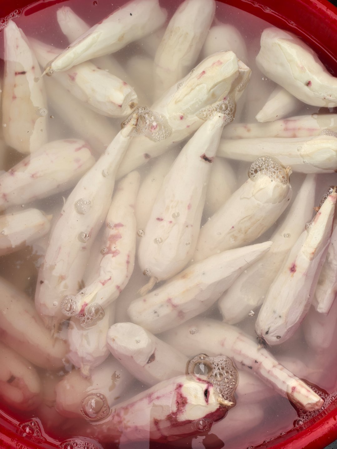 忙活一下午猜猜在干嘛