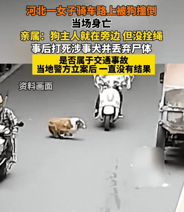 一女子在骑电动车行驶时，被一只大狗撞倒身亡。亲属说:狗主人就在身旁，狗没有拴绳。