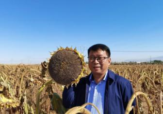 我国工程界大乌龙事件！2009年，重庆大学教授易志坚在研究物质力学时，意外发现了