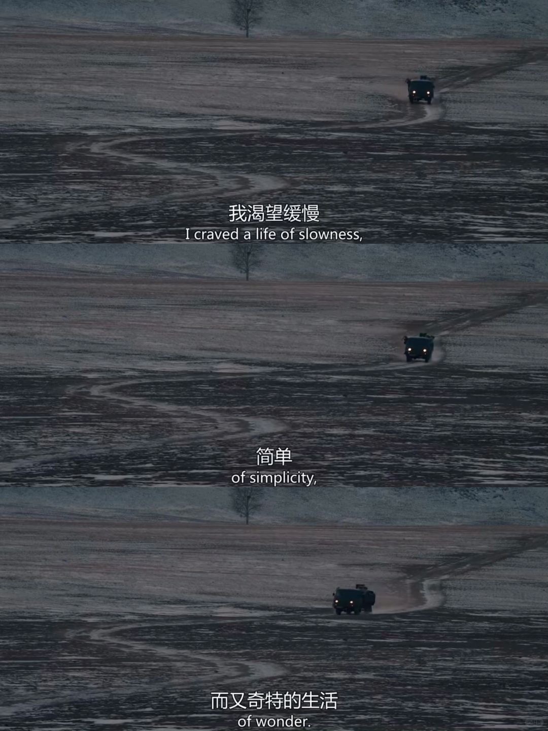 关于孤独与自由❣️我真的好爱好爱这部电影😭