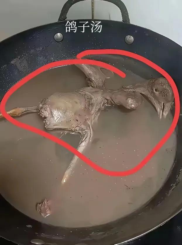 网友:
坐月子，婆婆老大人熬的汤，说这玩意补身体，这喝还是不喝？[what]