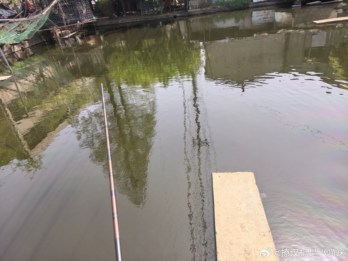 😏钓鱼赛道也是被我闯进去了 。半吨的妞妞，一直嘤嘤嘤嘤