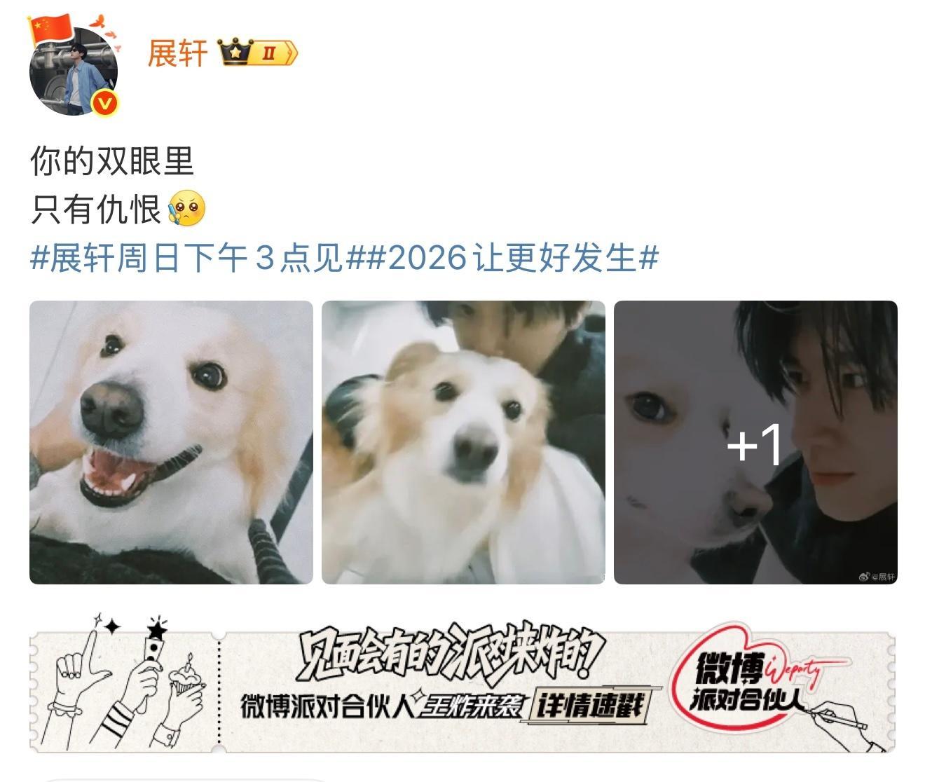 我爸我妈都在宠小狗，有没有人管管我这只想念爸爸妈妈的粉绿小狗 