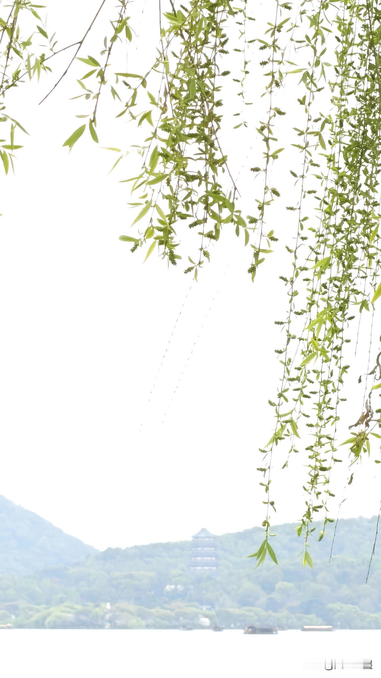 那玄谁，那东谁，还有那云龙谁，成天蹭西湖流量，满网络找不出多少美图，只知道哔哔，