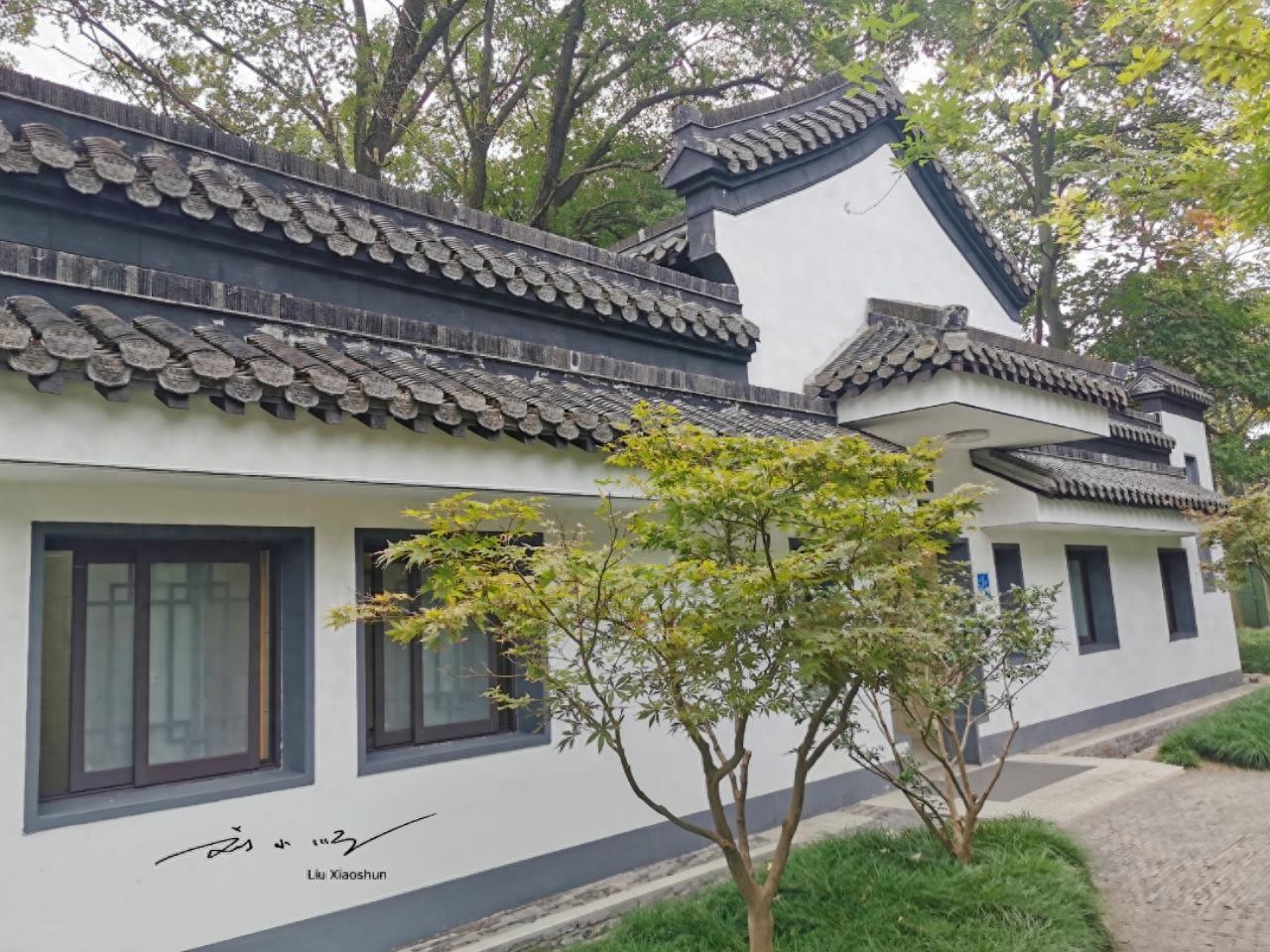 中国游客在公共厕所偏爱蹲厕，外国游客更青睐坐厕，这种差异或许源于文化习惯、卫生认