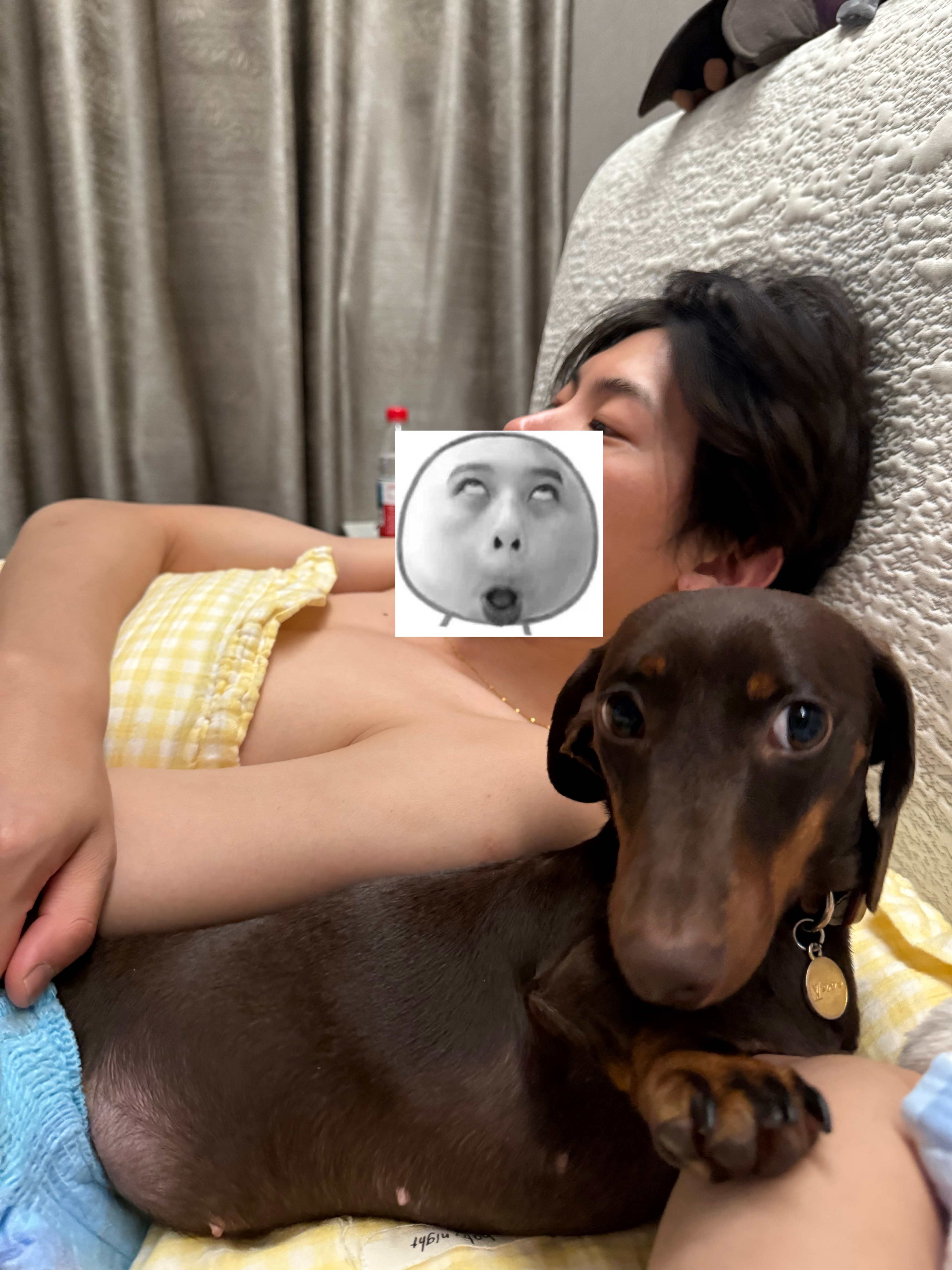 腊肠完全版 太粘人啦 乖乖 ​​​