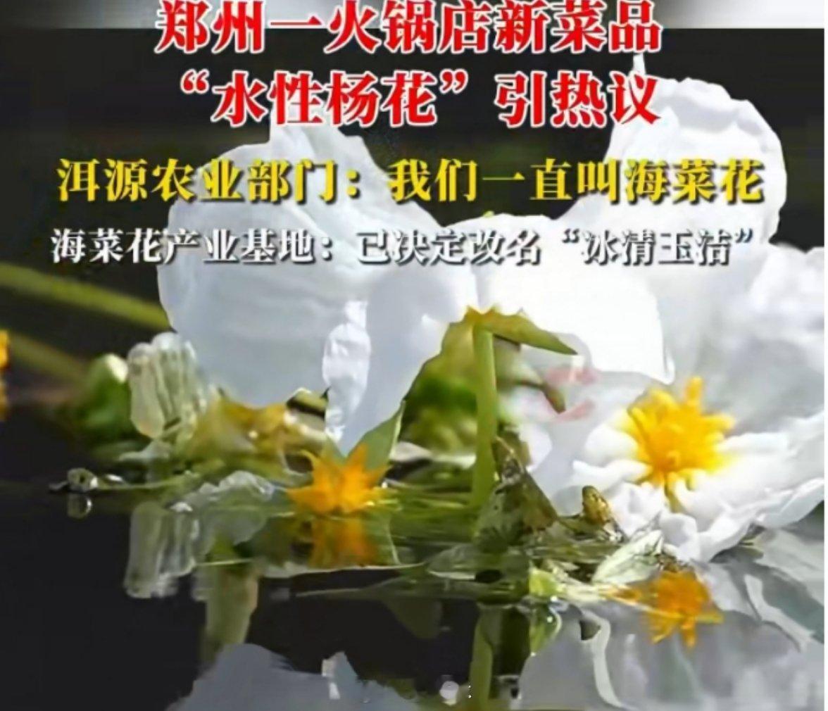 云南一基地将水性杨花改名冰清玉洁再改名，还是“水性杨花”…