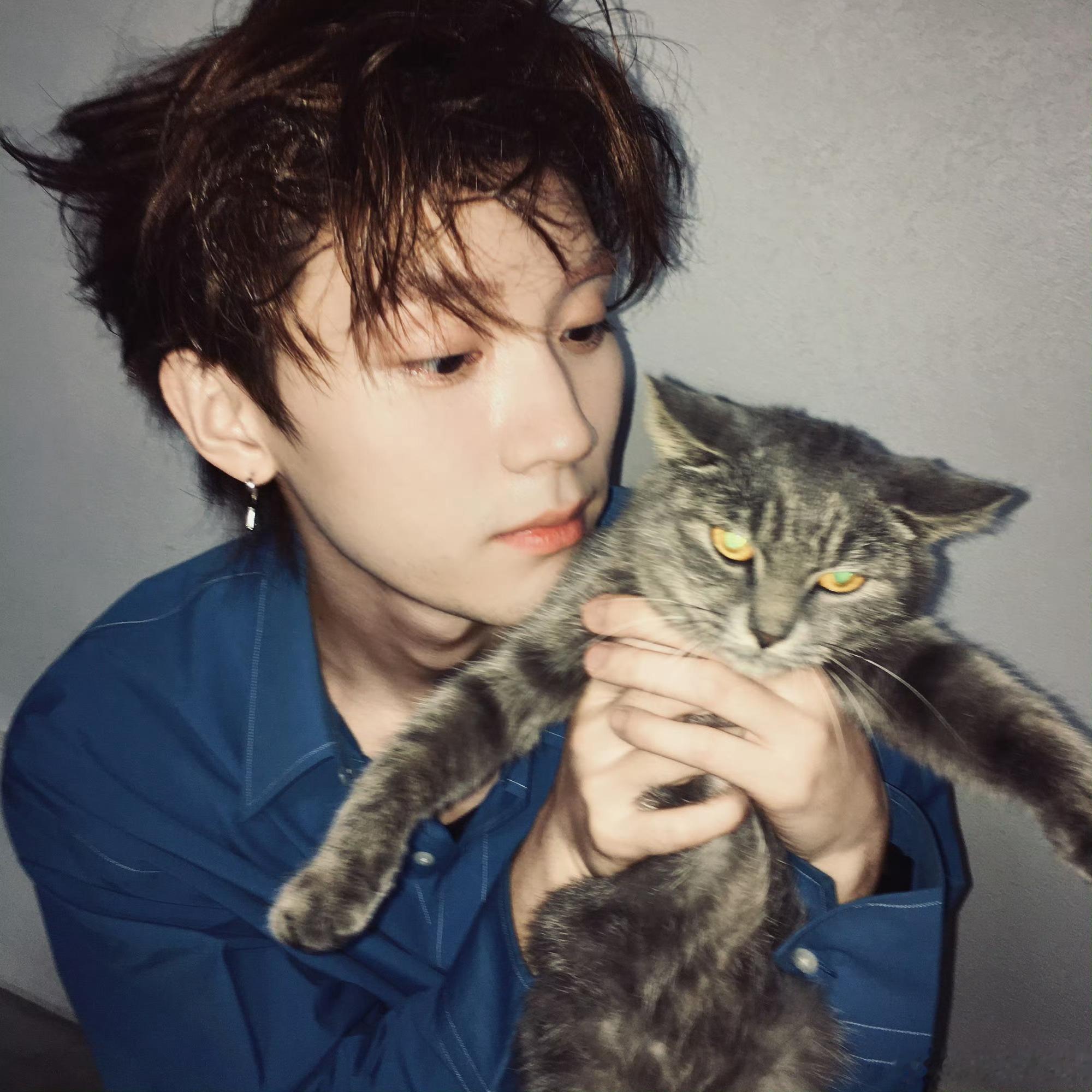 周翊然氛围感头像上新了周翊然抱着猫咪拍照周翊然和猫咪的合拍充满生活感，他或是轻轻