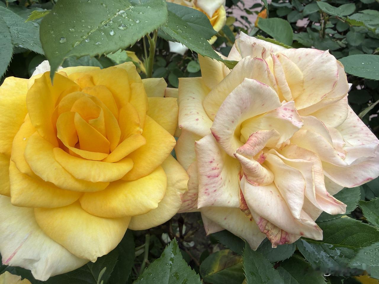 【小对联】
上：……？
下：润贤。