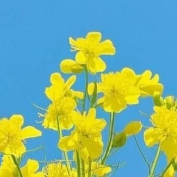 生命中总会遇到或多或少的问题，很多时候我们都在面对选择，总是会有犹豫也会有彷徨，
