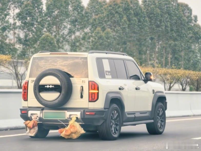 你们说车尾这几只鸡🐔能活到家吗？隔壁剪辑小哥：鸡🐔有点冷🥶 