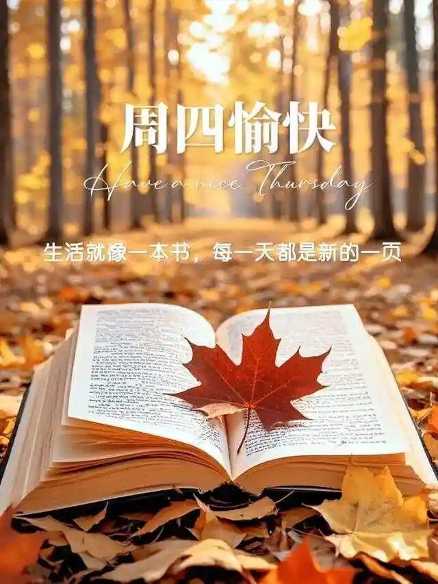 生活就像一本书，每一天都是新的一页。宝子们，今天又周四了，真好！ ​​​