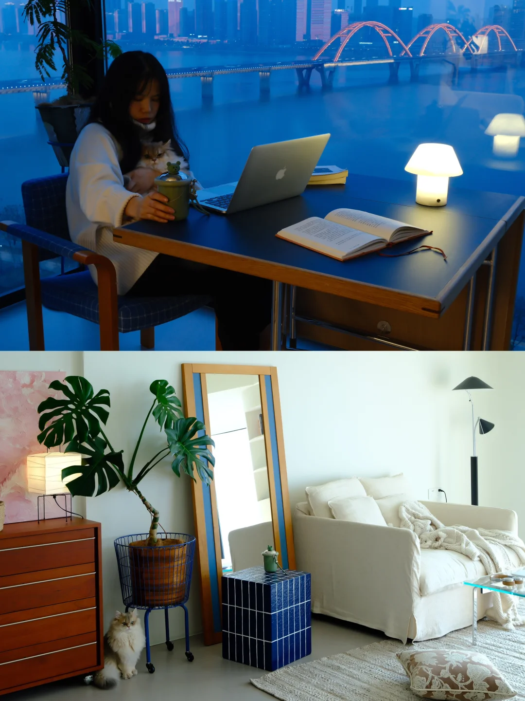 Room换季重新布置客厅🔵🥤⚱️🛋️