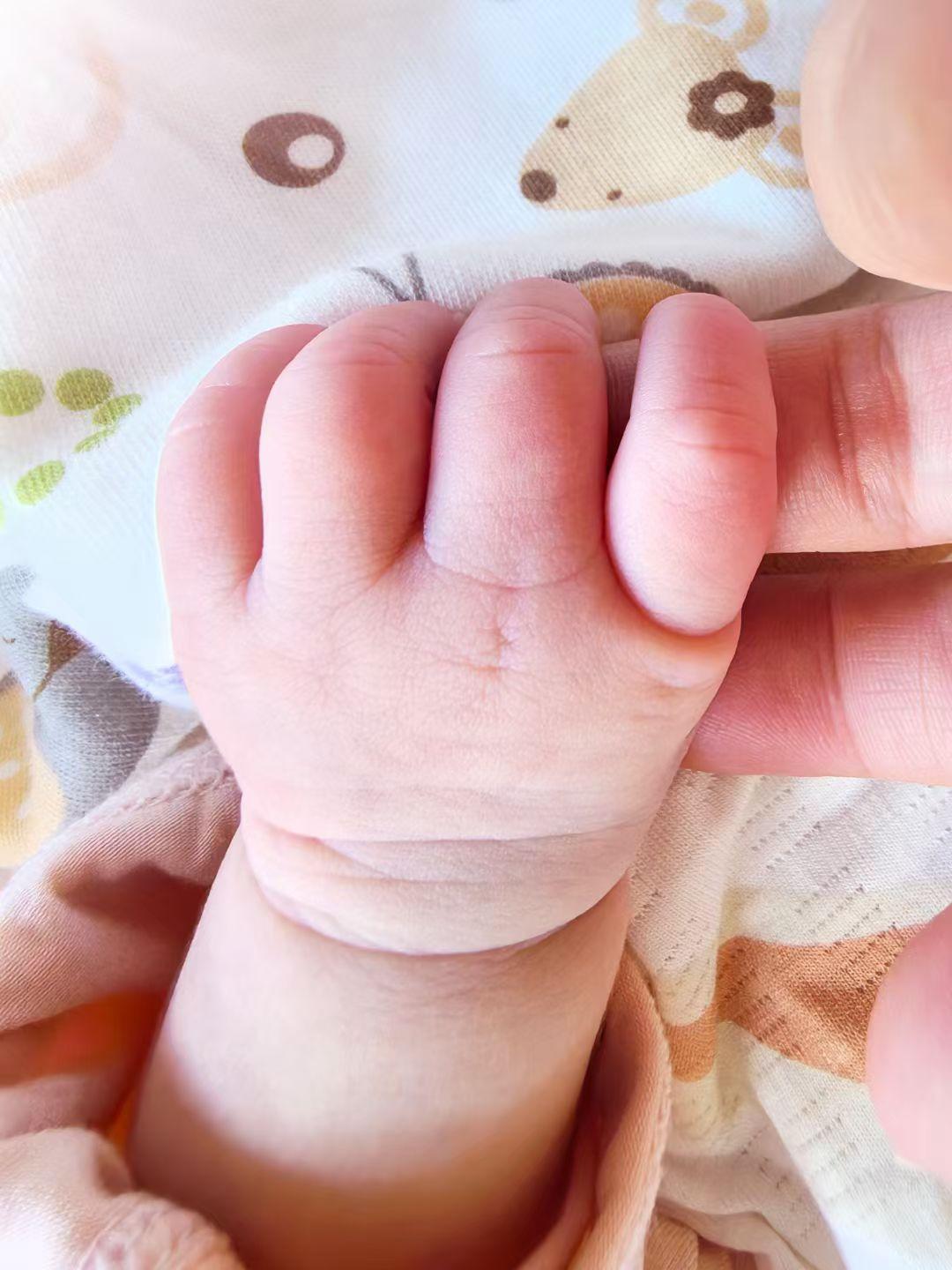 我的2025年度总结2025年转眼过去了，这一年也是最辛苦的一年，也是最甜蜜的一