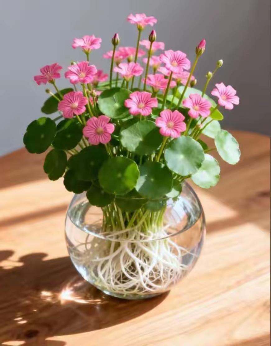 愿您如花绽放，愿您如花富贵。每天笑靥如花，每天花好月圆，心花怒放。[送自己一朵花