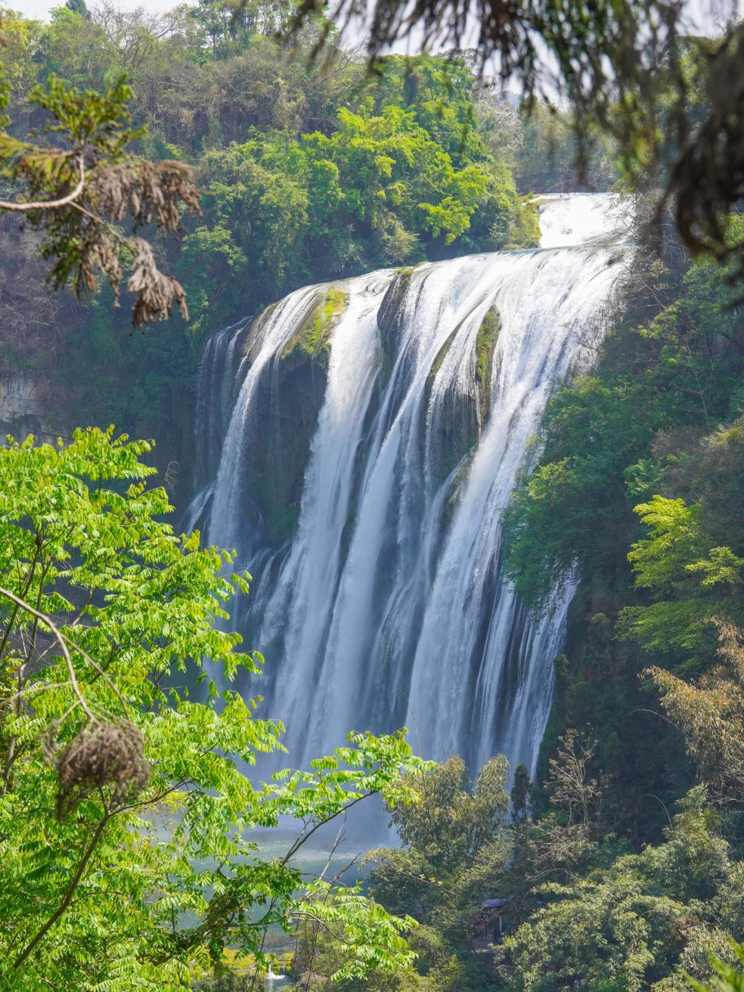 🌿春光正好，黄果树瀑布游玩体验🌿