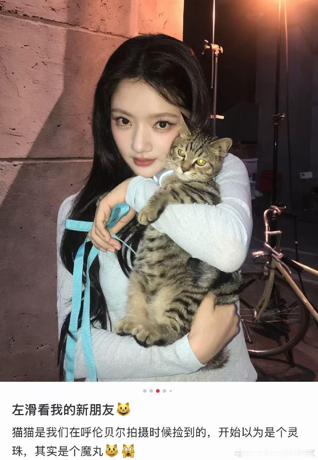 任敏拍摄时捡到的小猫任敏收养拍摄时捡到的小猫！任敏收养拍摄时捡到的小猫