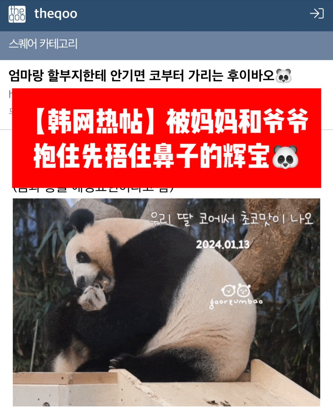 🔥韩网热帖｜被妈妈和爷爷抱先捂鼻子的辉🐼