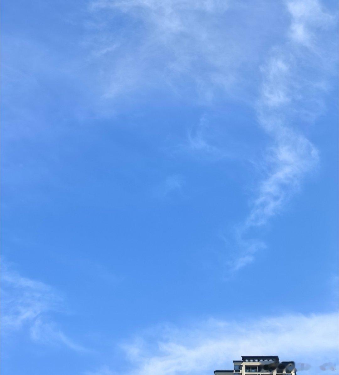 家庭教育暑期打卡活动在微博过暑假 Day7学会放手，小事让孩子自主选择，培养独立