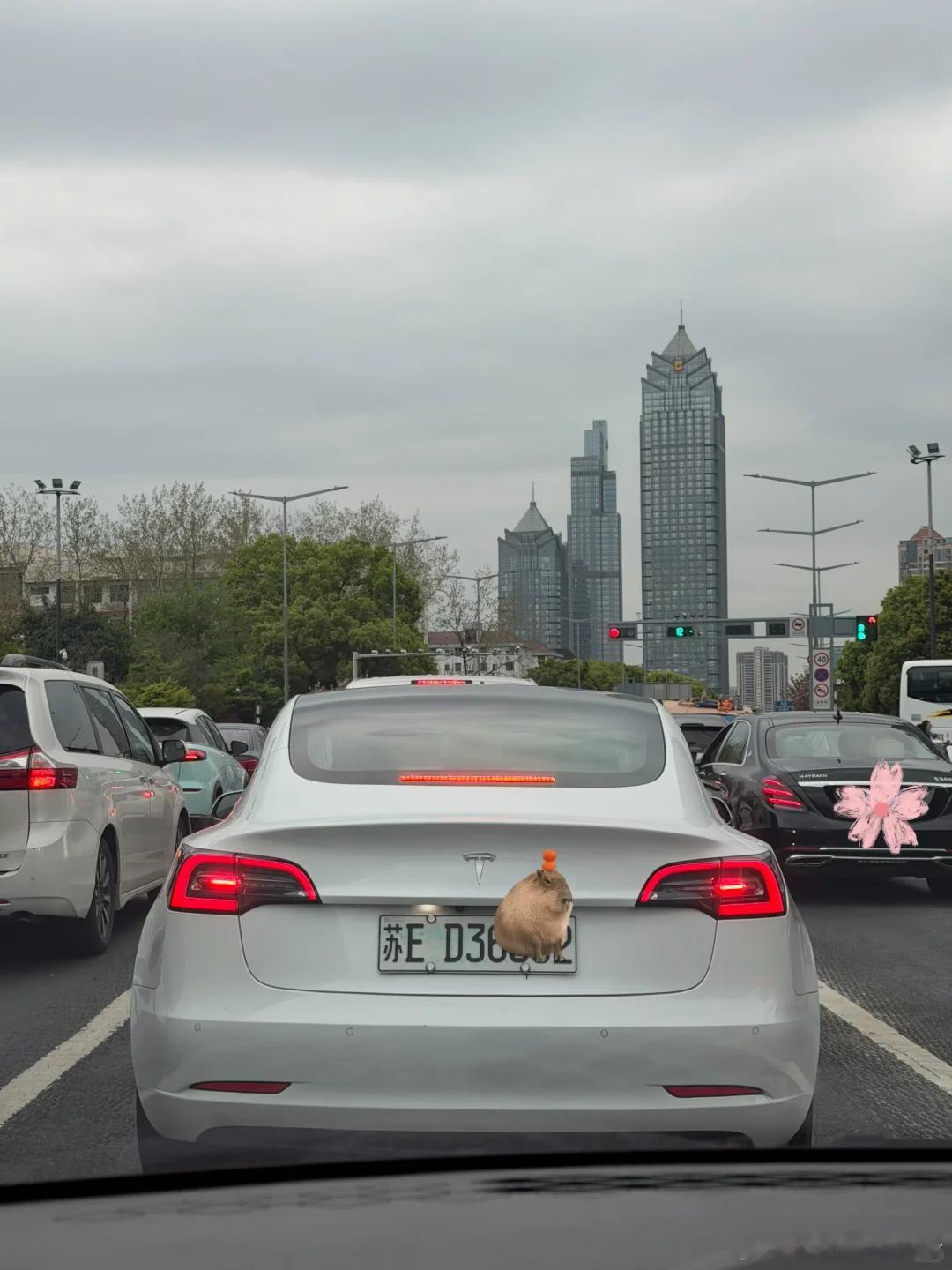 多地新能源车牌绿色变白色 还有专门的教程教怎么变白色真的要给大家提个醒：这是违法