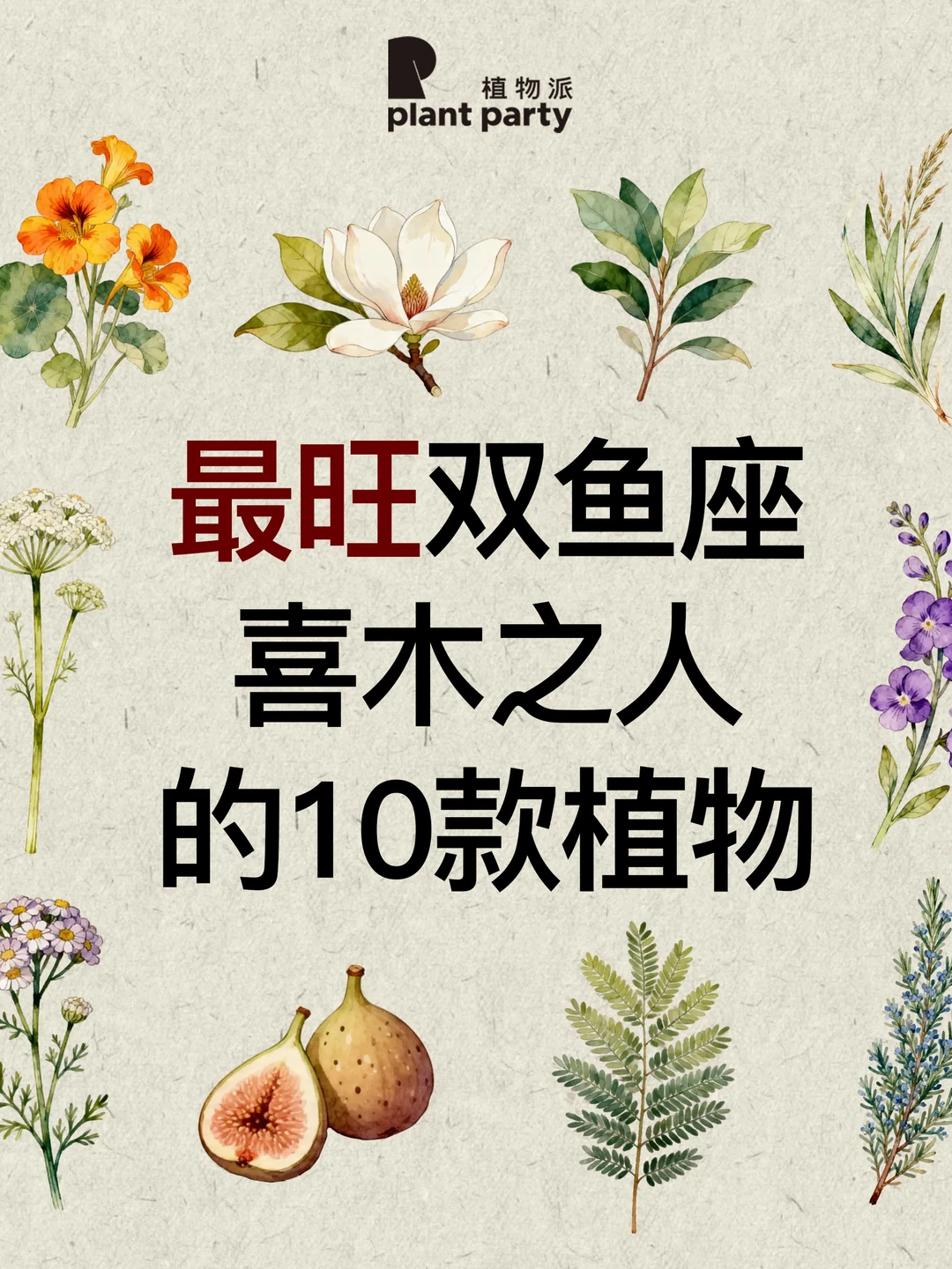 自然疗愈｜双鱼座喜木之人最适合的香气
