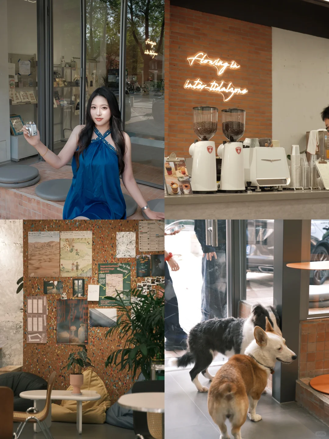 南通潮间带 可以撸狗狗🐶的咖啡店☕️
