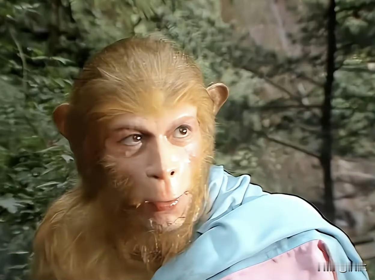 开始重看《西游记》。

孙悟空跟着菩提祖师当道士的时候那么青涩稚嫩，跟着唐僧当和