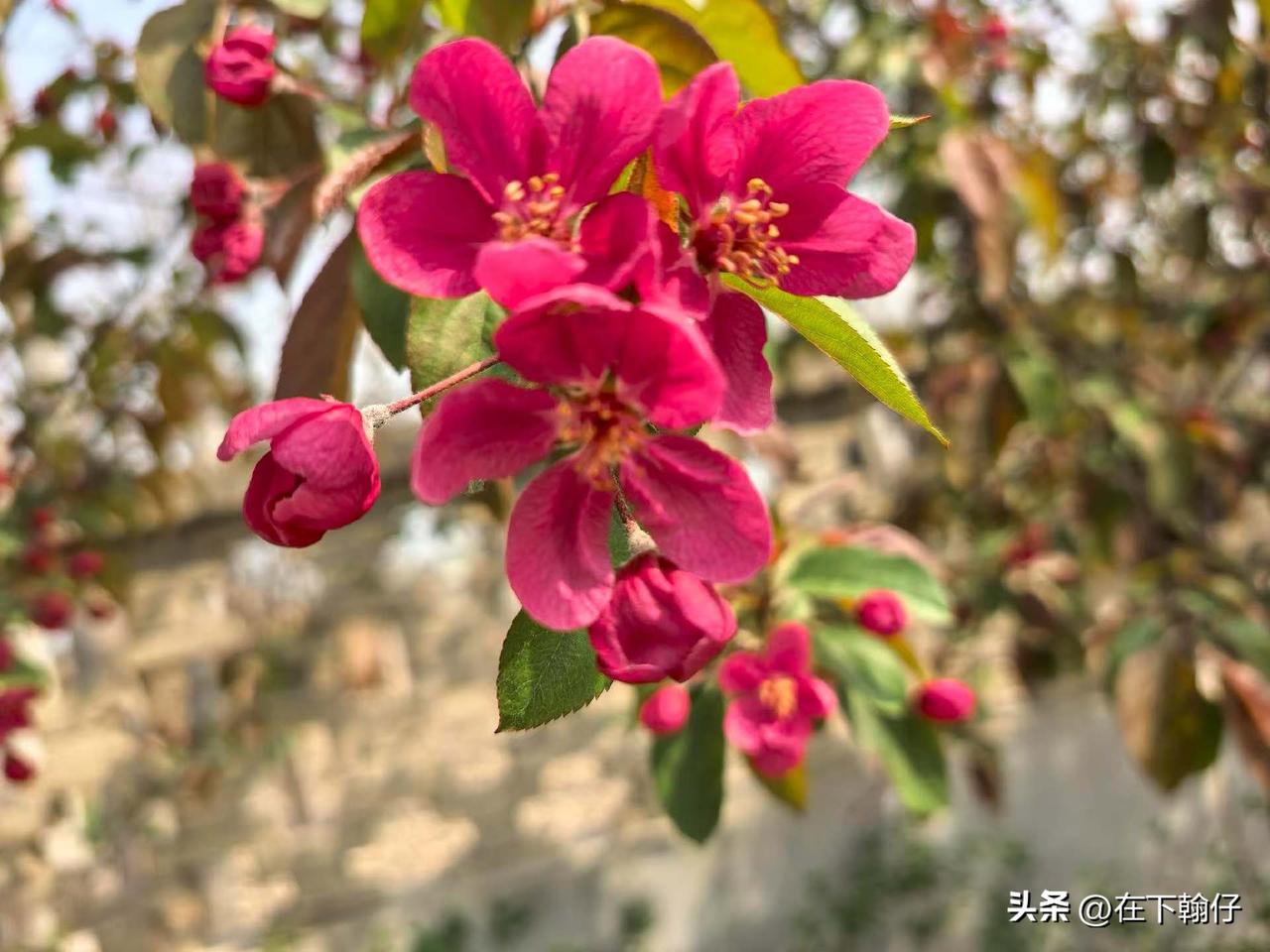 瞎说用你的方言家乡话怎么说?
广元话里“瞎说”最地道就是：
打胡乱说！

还有几