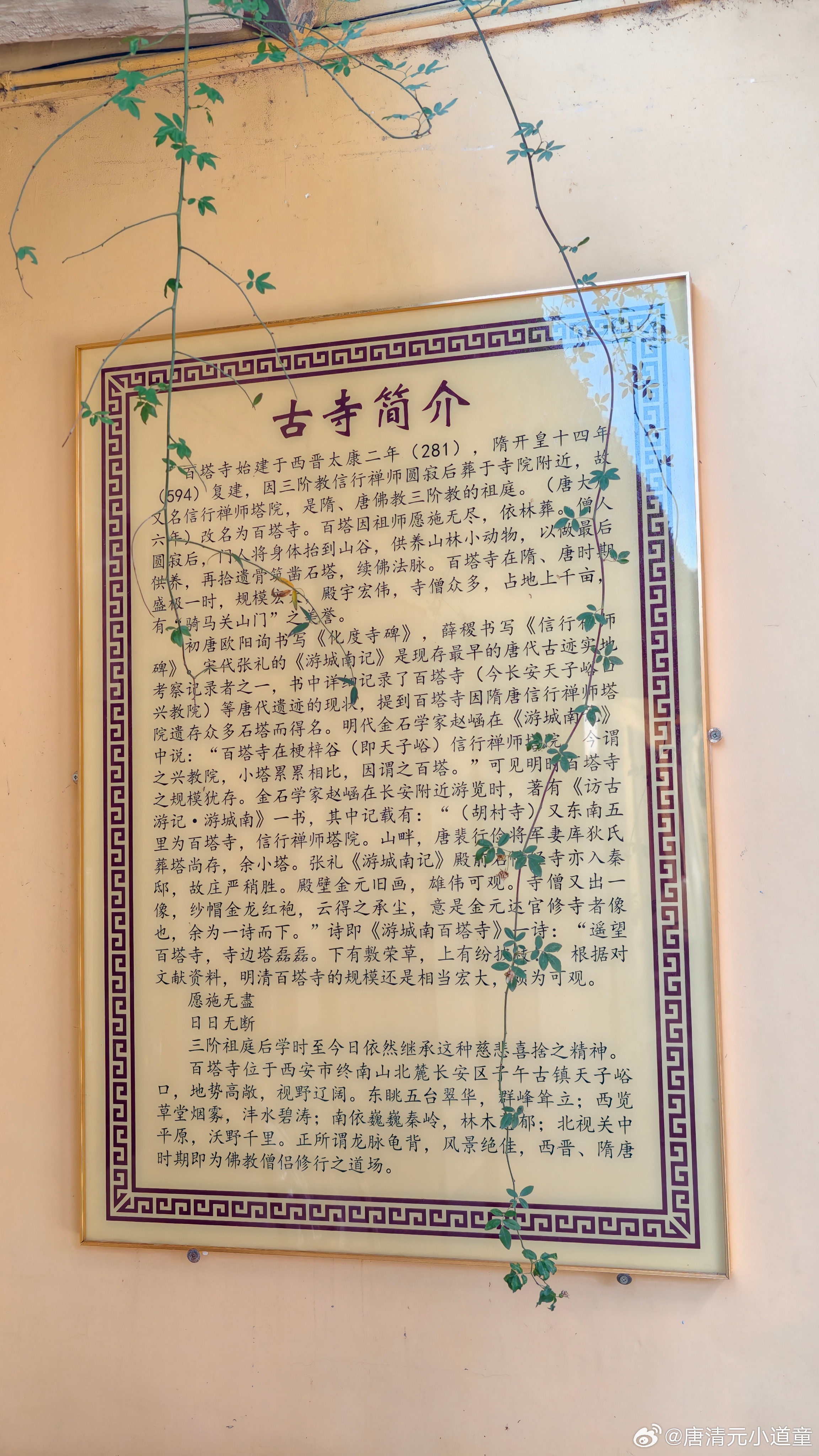 文清堂易学文化于西安香积寺、百塔寺、草堂寺之纪录去香积寺、百塔寺、草堂寺，司机先