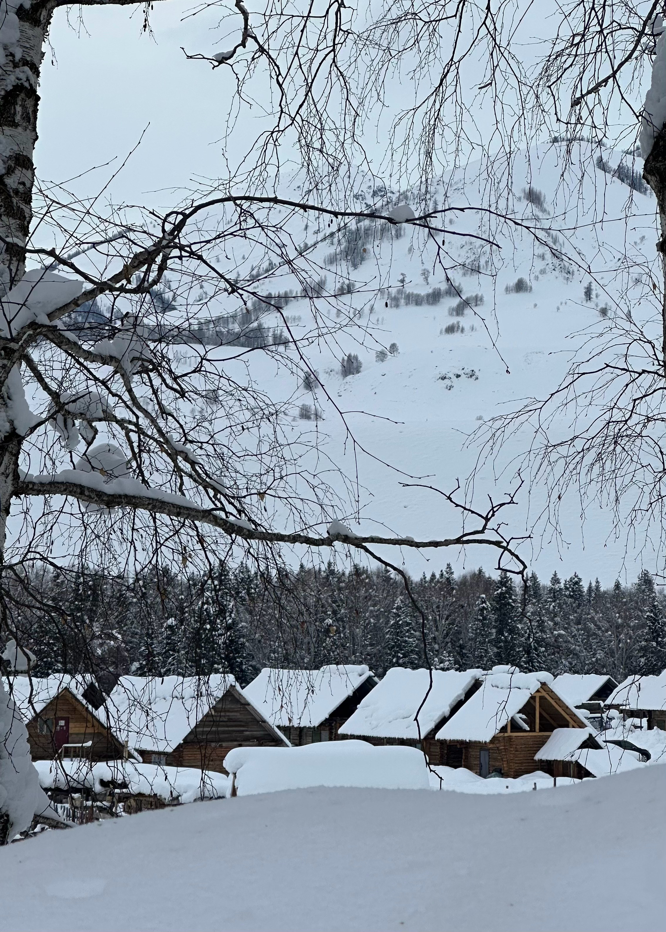 雪有雪的秘密❄️ 